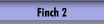 Finch 2