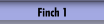 Finch 1